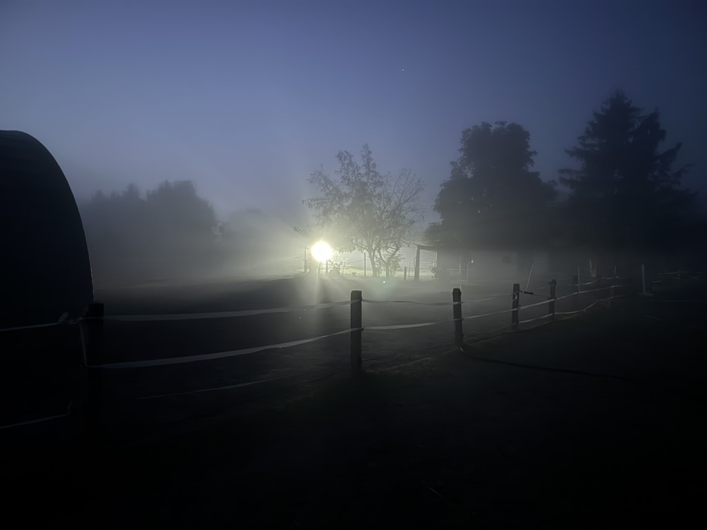 9D34F653-776C-4DC6-A088-48D6F7322E7D_1_105_c